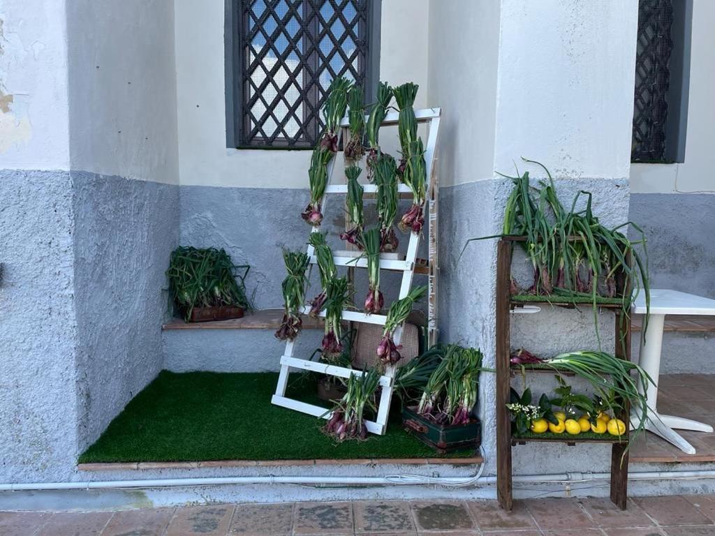 La Locanda Del Convento Tropea Zewnętrze zdjęcie